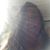 Christine Murphy-Sassano's profile image