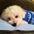 Marilyn Moreland's profile image
