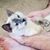 Kimberly Destafney Crossan's profile image