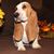 Cecelia Gilbert McCaughn's profile image