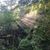 Joy Acree Moss's profile image