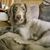Dawn Wollin-Fischer's profile image