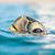 Brenda Sulzmann's profile image