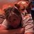 Kim Hartman's profile image