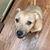 Travis H Tighe's profile image