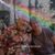 Tina Foti McDaniels's profile image