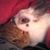 Cindy Fisher's profile image