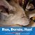 Denise Guzzardo's profile image