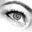 Ana Flavia Coelho's profile image