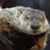 Kevin Hendrickson's profile image