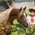 Ilona Mcdill's profile image