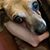 Carlos Benitez's profile image