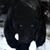 Gato Bicho's profile image