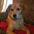 Sue Soares's profile image