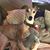 Sharleen Walter's profile image