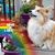 Sharla Tiffany Glick's profile image