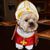 Bruno Collazzo's profile image