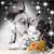 Vicky Vega's profile image