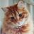 Anita Fein's profile image