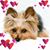 Yvette Gonzalez's profile image
