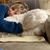 Sara Mishler Martins's profile image