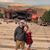 Laura Williams Tapparo's profile image