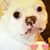 Monica Harris Kacheris Meadows's profile image
