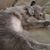 Jaimee Walters's profile image