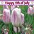 Patti Ulbrich's profile image