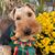 Sue Kendall's profile image