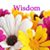 Melanie Thompson Walantyn Zeiger's profile image