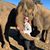 Sam Seiller's profile image