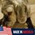 Tom McGifford's profile image