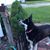 Debra Zoerb's profile image