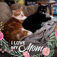 Diana Whorton McClaughry's profile image