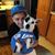 Justin Barbier's profile image