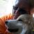 Janis Studdard's profile image