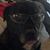 Jackie Davis's profile image