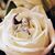 Melody Willis's profile image