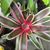 Lenora Franklin's profile image