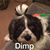 Beverly Anne Edwards's profile image
