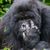 Marty Morrow's profile image