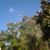 Margaret Harris's profile image