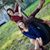 Sharon Scott's profile image