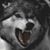 Will Rhodes's profile image