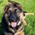 Sindy Woodhams's profile image