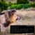 Pires Gonzalez Rachel's profile image