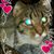 Melissa Jones's profile image