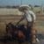 Modesto Reyes's profile image