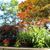 Karen Gallaway's profile image